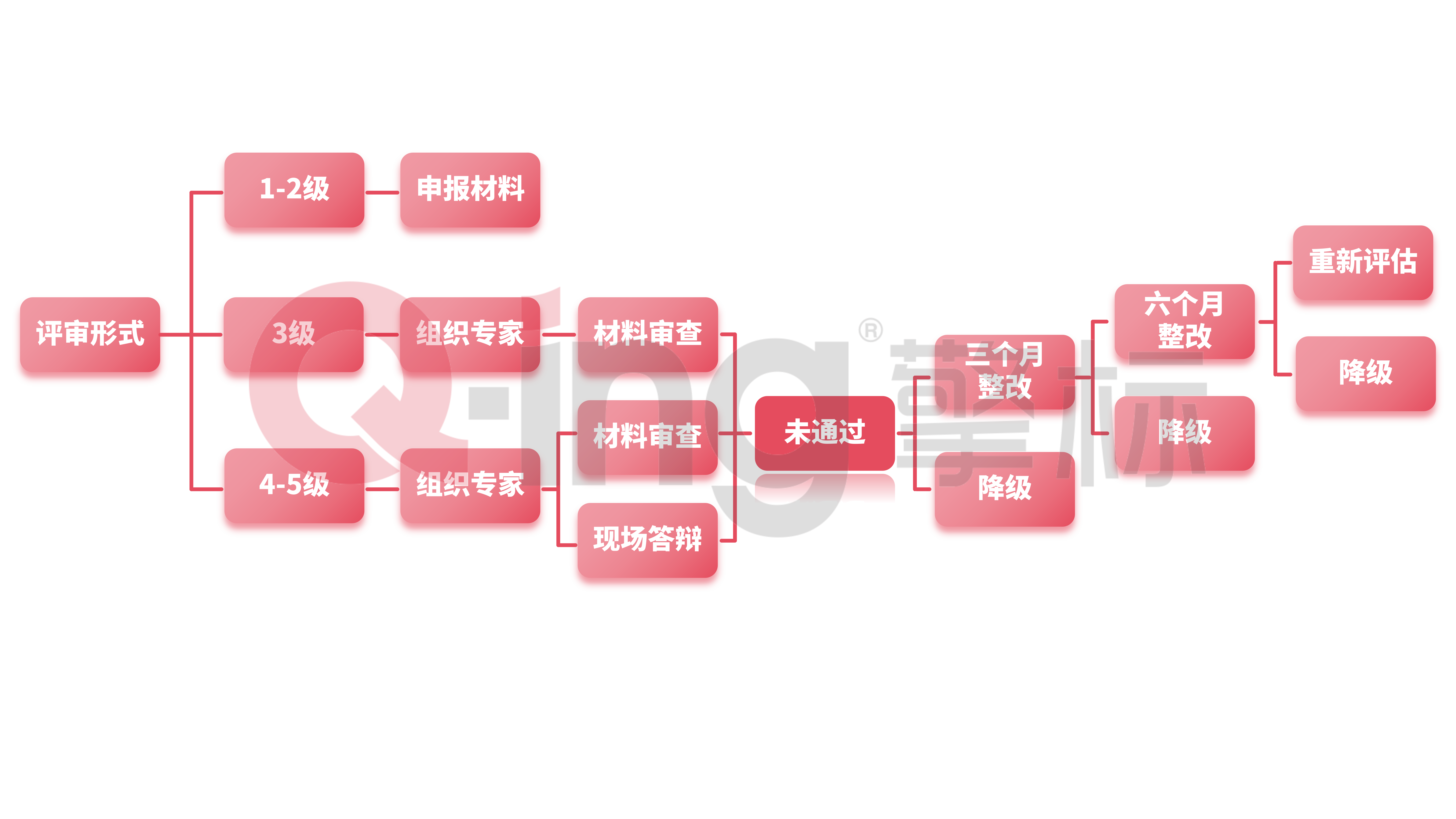 白底-流程图_01_副本