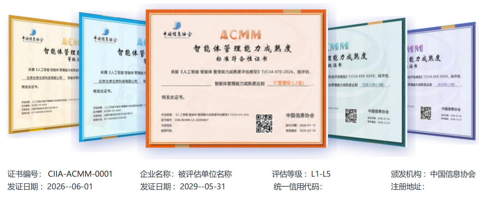 ACMM证书模板